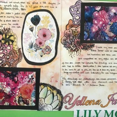year 8 lily m